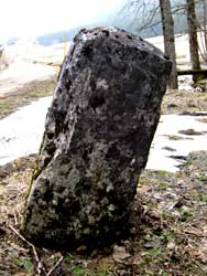 Borne de la Bune (Champfromier)
