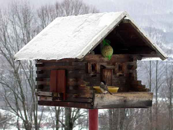 Maison d'oiseaux