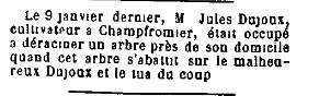 Tué en déracinant un arbre